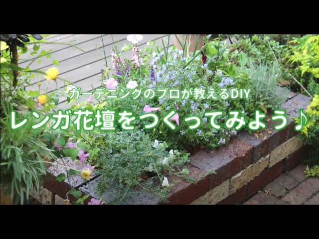 ｸﾞﾚｲｽｵﾌﾞｶﾞｰﾃﾞﾝ レンガで花壇をつくってみよう プロが教える簡単ｄｉｙ Youtube