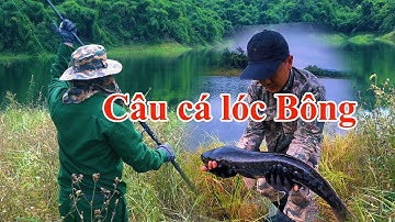4 Ngày săn cá lóc bông cắm trại trên đảo hoang
