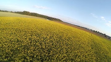Canola - Realacc X210, Betaflight 3.0