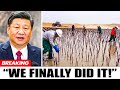 Everybody Laughed At China For Burying Tons Of Plants In Desert... 10 Years Later, They Regretted It