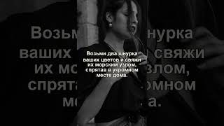 ТАЛИСМАН УЗЕЛ ЧУВСТВ