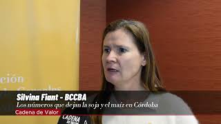 Córdoba: La sorpresa del trigo y los números que dejan la soja y el maíz