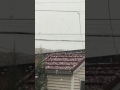 ぼたん雪