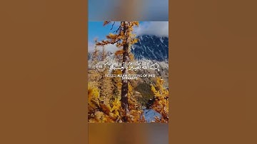 وافوض امري الى الله اجمل حالات واتس اب قران كريم بصوت جميل جدا 🎧💖 تلاوة خاشعة ومؤثرة🌸🍃 Quran status