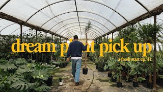 Plant Shopping, Repotting, Cozy Rainy Days In La A Fresh Start