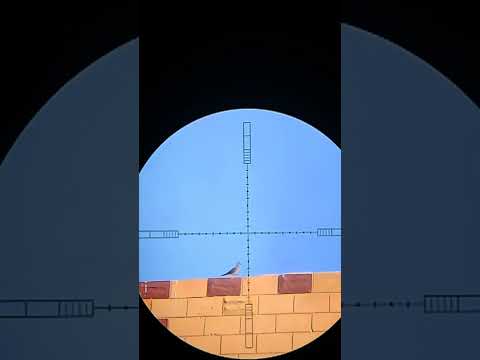 منحني الرماية واتجاه الرياح