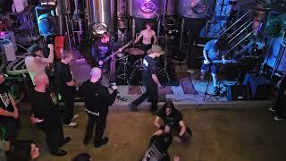 Human Shield - Mad Malts ( Aug 9 2026 )