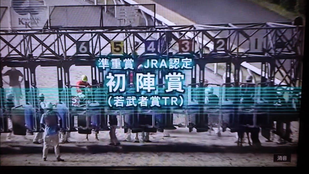 bet365 | ベット365【 登録・入金不要ボーナス】最新2024 競馬 JRA トランプ ウェルカムチャンスB