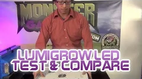 LumiGrow : LED VS. HPS : Lumigrow LED Test & Compare - LumiGrow Versus Lumatek HID Light