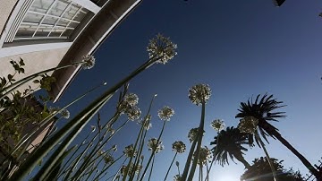 GoPro Session Protune Test