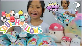 10 Squishmallow Squooshems SURPRISE Unboxing!!! Vlog with Emma