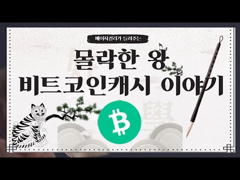   파헤치기 시리즈 비트코인캐시는 어쩌다 몰락했을까