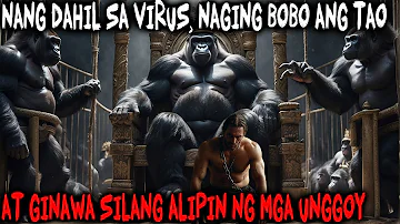 Dahil Sa Virus Ay Naging Mas Matalino Ang Unggoy Kesa Tao, Kaya Ginawa Nilang Alipin Ang Mga Tao