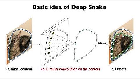 Deep Snake for Real-Time Instance Segmentation