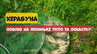 картинка: Чи працює японське тісто та оснастка для Херабуни в Україні?