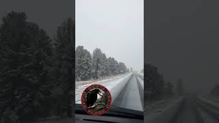 Семинский перевал в снегу!