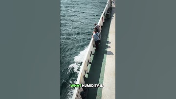 Mesh Networks, BLE Sensors & Smart Safety at Sea – ScanReach in Action