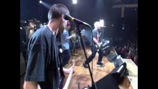The Offspring - Pretty Fly for a White Guy (live)