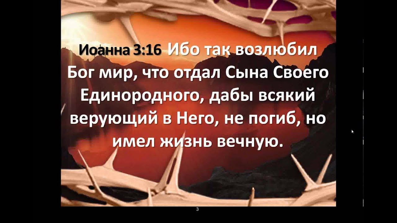 Сына отдавшего жизнь. Ибо так возлюбил Бог мир что отдал сына своего Единородного дабы. Бог отдал сына своего. Сына своего Единородного дабы всякий верующий в него Библия. Картинка,, ибо так Возлюби Бог мир, что отдал сына своего Единородного.