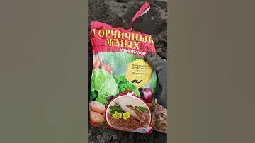Защита картошки от проволочника без химии!
