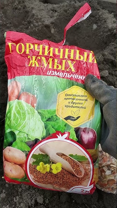 Защита картошки от проволочника без химии! - YouTube