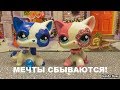 LPS: ГОЛУБАЯ СТОЯЧКА от канала Beauty stranger