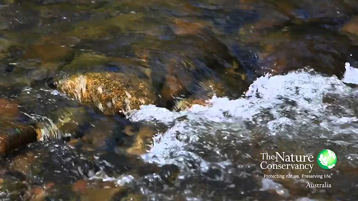 Conservation Successes in Australia