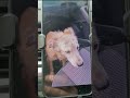 Полчаса искал по всему городу