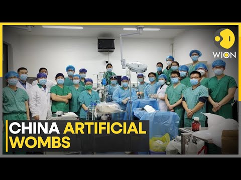 China Unveils First-Ever 'Pregnancy Robot' At $1400 | WION