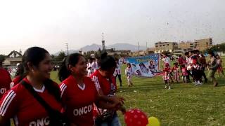 APO  2014 - Asociación Hijos de Oncoy
