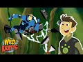 Chimpanzee Power and Rescue Strategy Quiz