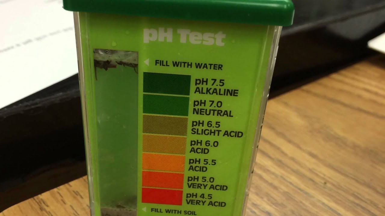 APES ECO COLUMN LAB REPORT VIDEO PERIOD5 YouTube