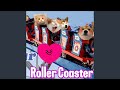 Your love  roller coaster ride