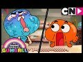 Gumball | The Vision | Cartoon Network