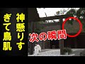 敬宮さまの立太子確定３つの理由とは。敬宮さまが伊勢神宮到着時に土砂降りが一転青空に天照大神のご加護に国民歓喜