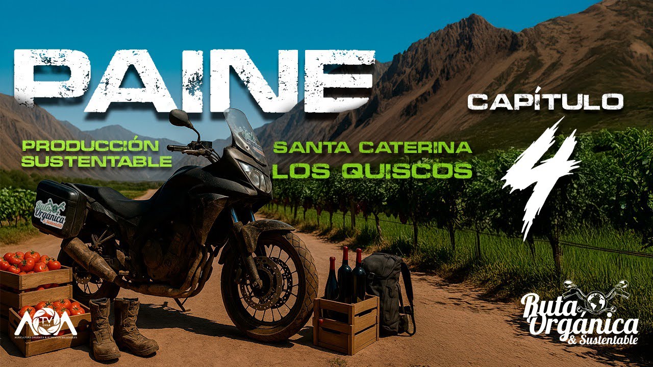 😭 SU VIDA CAMBIÓ CON UNA SEMILLA: El SECRETO de Paine que GIGANTES ENVÍDIAN | Agroecología REAL