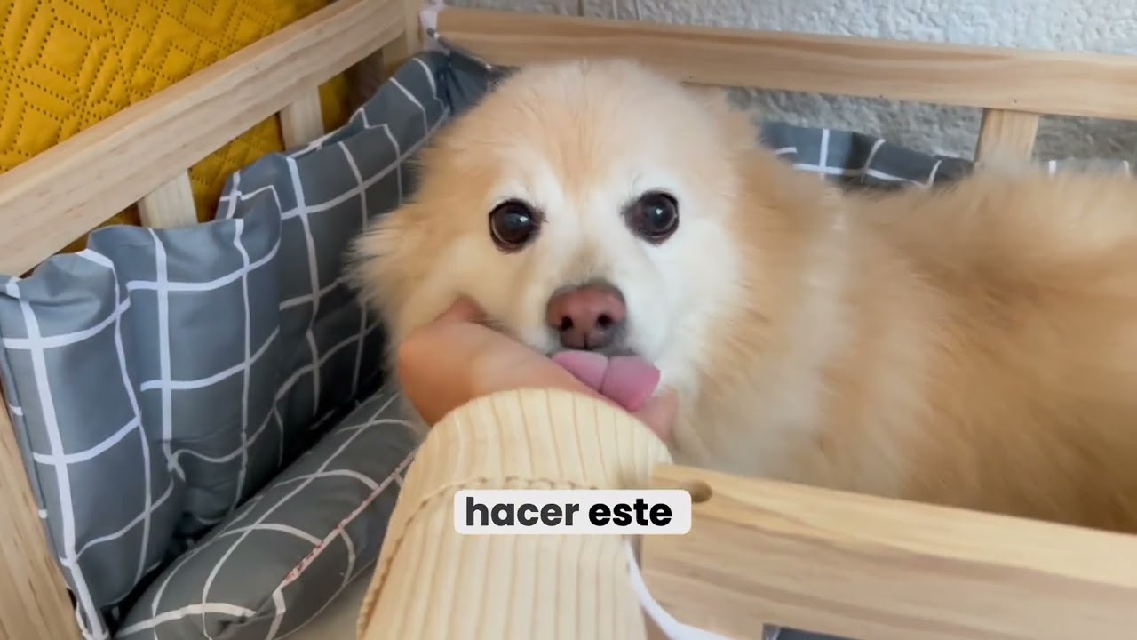 Del Bosco® Cama Para Mascota De Madera | Perro, Gato Colchon