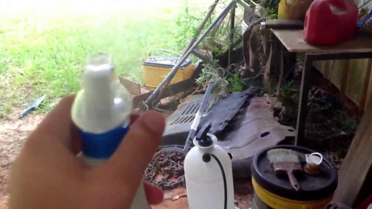 My cricket farm and setup!! YouTube