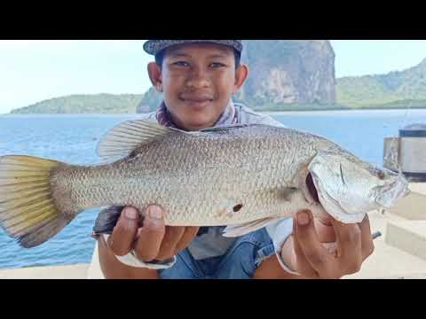วีดีโอ: วิธีการตกปลาหนอน 