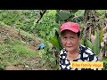 Mang Guna Ta Sa Atong Tanom Na Kamote Bilay Family Vlogs Mang Guna Ta Sa Atong Tanom Na Kamote Bilay Family Vlogs