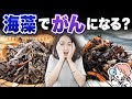 「海藻は危険だから食べちゃいけない」について解説します