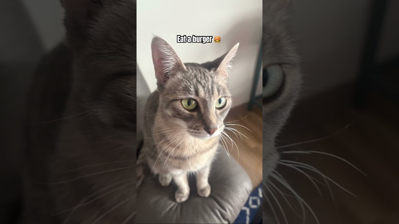 If you want a French fry 