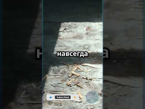 Нажмёшь на кнопку ради миллиона? #Психология #Выбор #Интерактив #shortsfeed #iqcheck #shortvideo