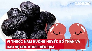 Vị thuốc nam dưỡng huyết, bổ thận và bảo vệ sức khỏe hiệu quả | Báo Lao Động