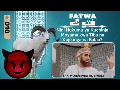 FATWA Nini Hukumu Ya Kuchinja Mnyama Kwa Tiba Na Kujikinga Na Balaa Sheikh Mohammed Tiwany 