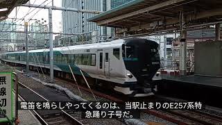 字幕入り　東京駅E257系特急踊り子　到着