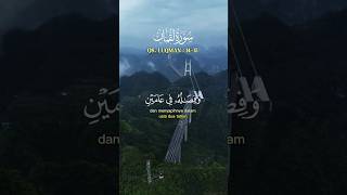 QS. Luqman: 14-15 #islamicvideo #dosa #ngajifromhome #quran #tartil