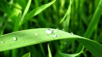 Abraham Hicks - Meditation, workshops, segment intending