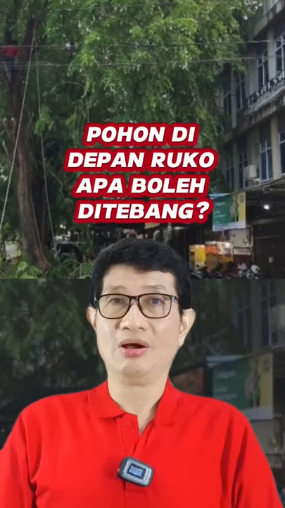 VIRAL! Kalau bisnis, ruko ketutupan pohon. Pohonnya boleh ditebang tidak?