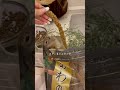 #リチャードソンジリス #いきちゃん #癒し #ぺぎちゃん #かわいい #richardsonsgroundsquirrel